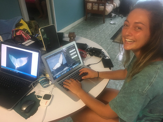 Rolex Scholar Melanie Brown working on inputting humpback whale fluke photographs into the Tongan Fluke Collective